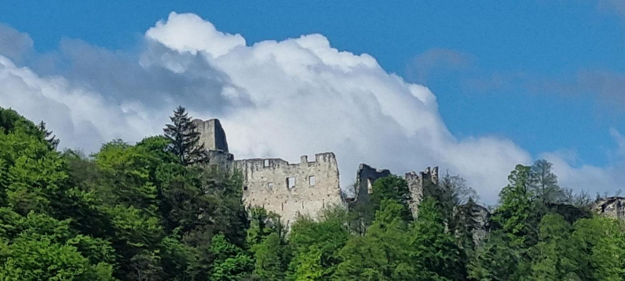 Studio Apartment Old Town Castle Samobor Zewnętrze zdjęcie